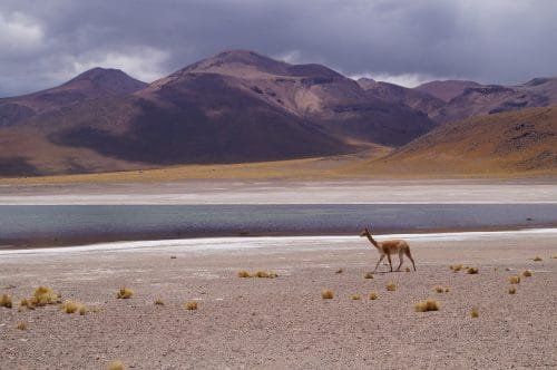 Atiplano