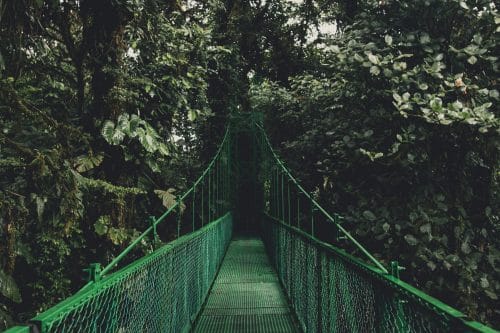 ponts suspendus de Monteverde