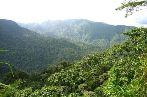 paysage du Costa Rica