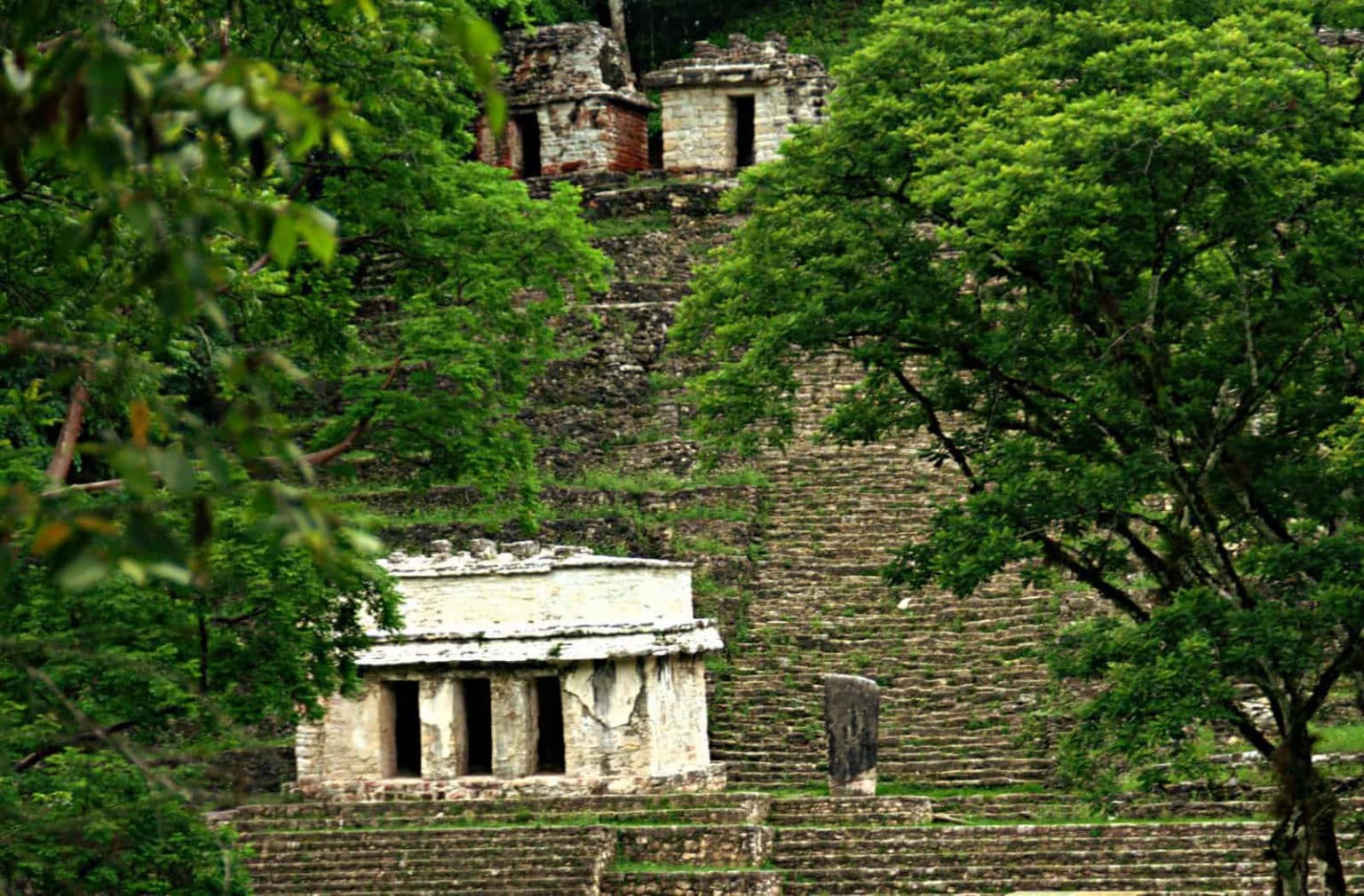 Cenote sacré 