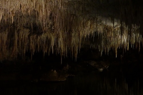 Cenote sacré 