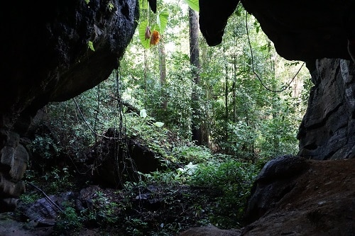 Cenote sacré 