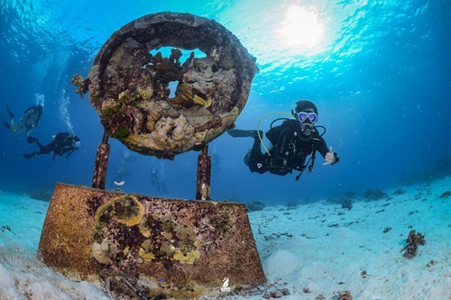dive 1