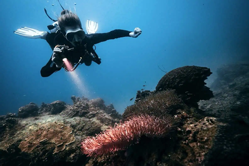 Koh Tao 1