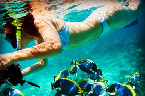 snorkeling